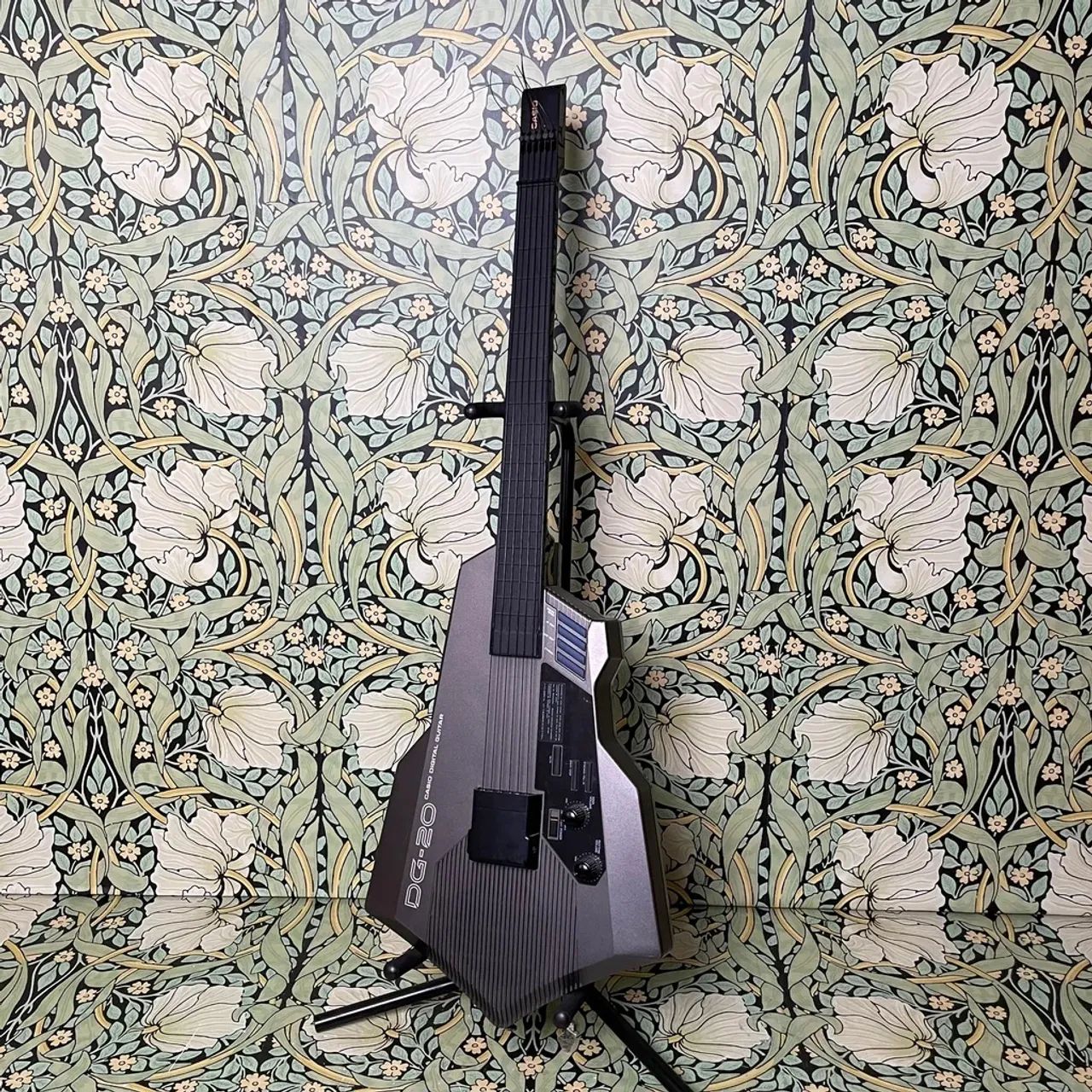 Casio Digital Guitar DG-20