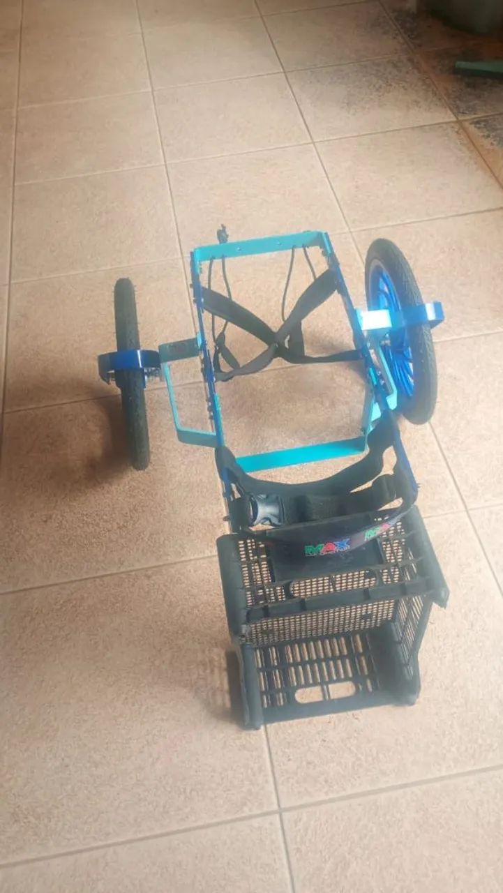 Cachorro andador - Foto 3