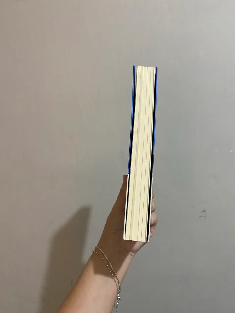 LIVRO OS DOIS MORREM NO FINAL - Foto 4