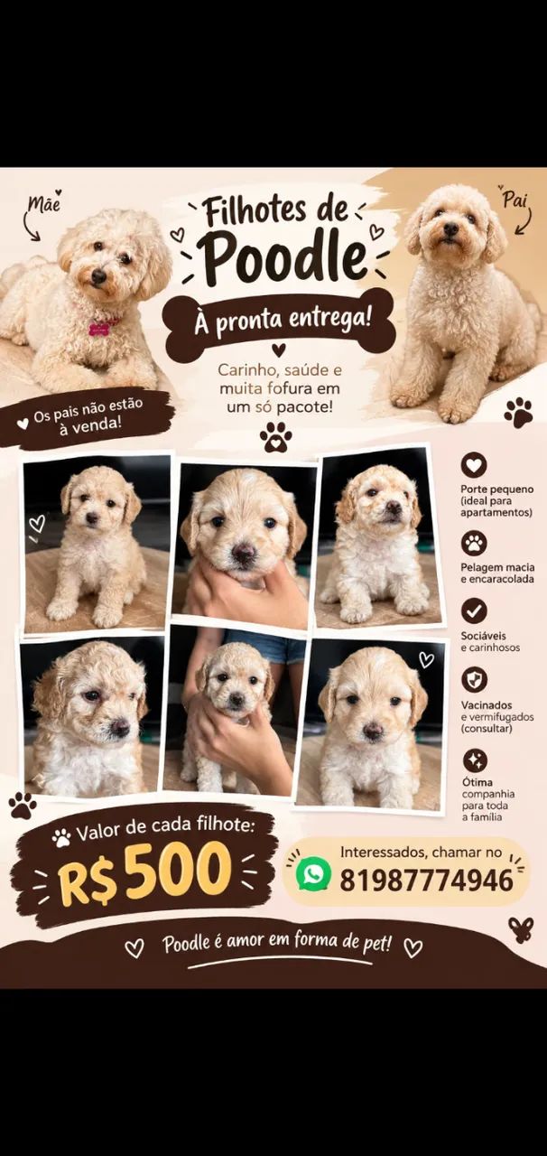 Pets 