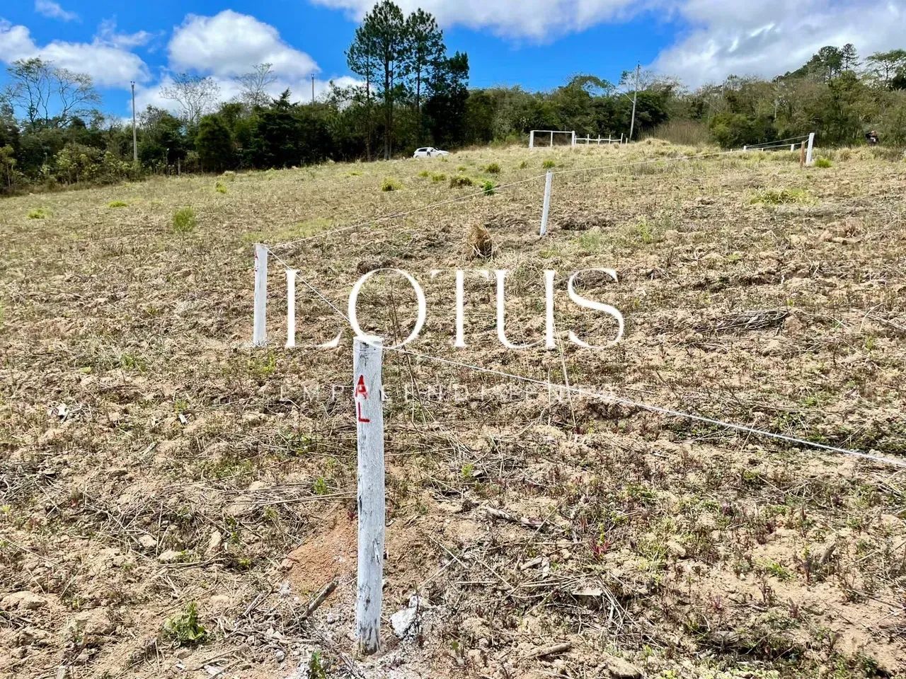 86M- LOTES CHAMATIVOS NA REGIÃO DE COTIA! - Foto 3