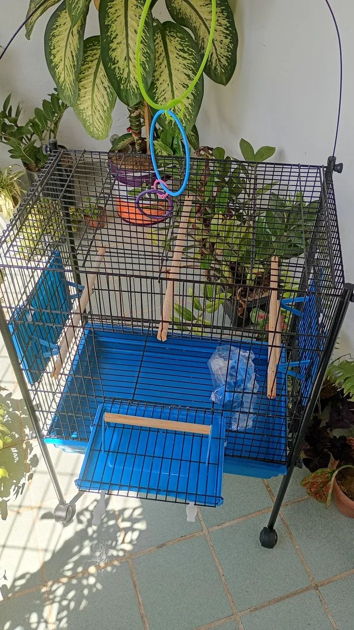 Gaiola para passarinho 