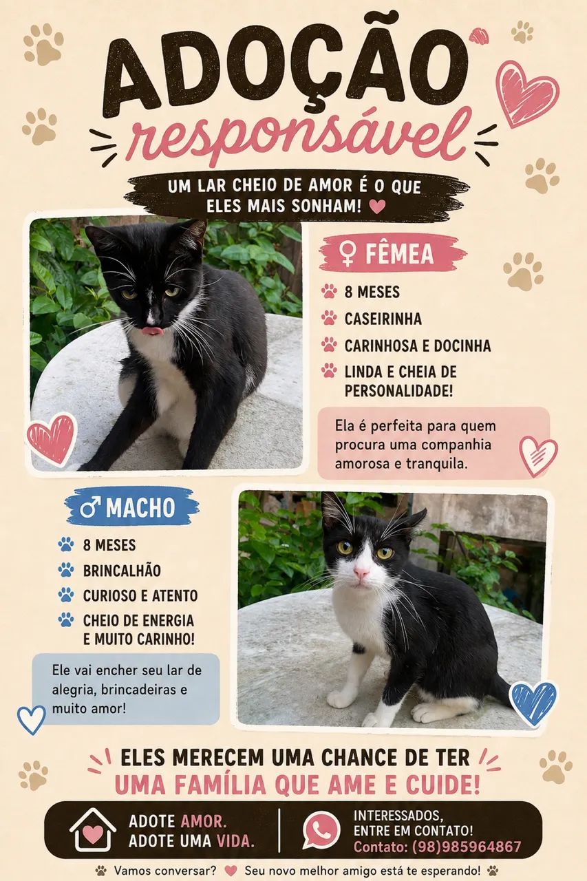 Animais 
