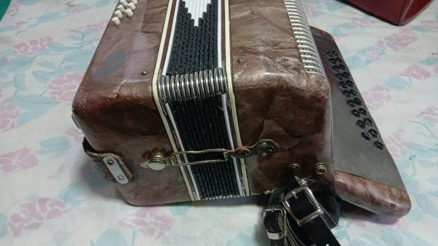 Acordeon Todeschini - Foto 2