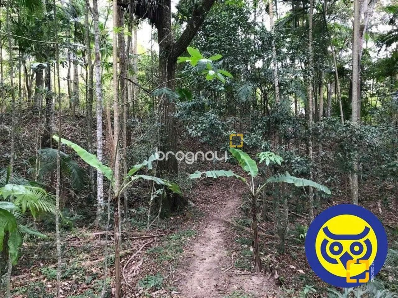 Lote/Terreno plano com 50.000m² - bairro Vargem Grande - Florianópolis SC - Foto 5