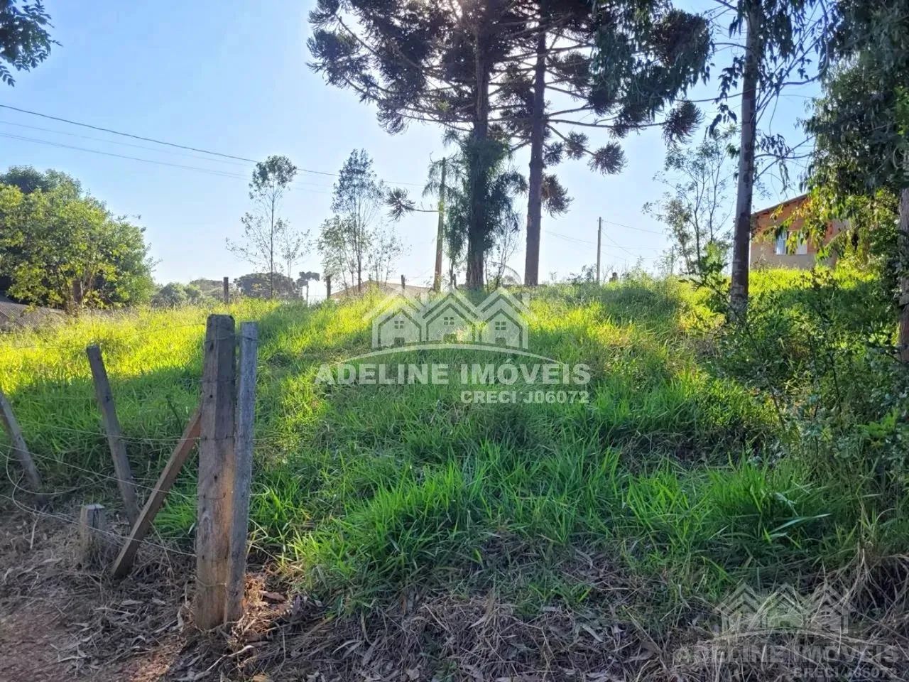 Terreno Catanduva Carambeí - Foto 4