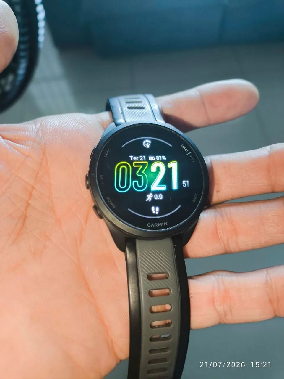Garmin 165