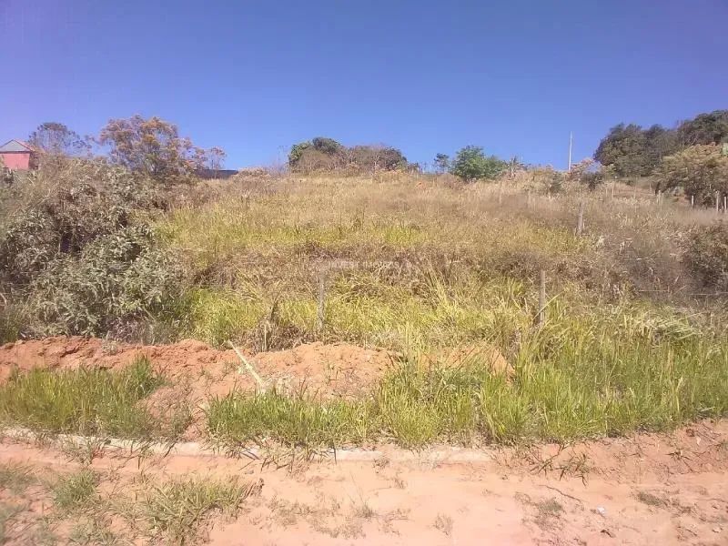 Terreno - Pequeri MG - Foto 3