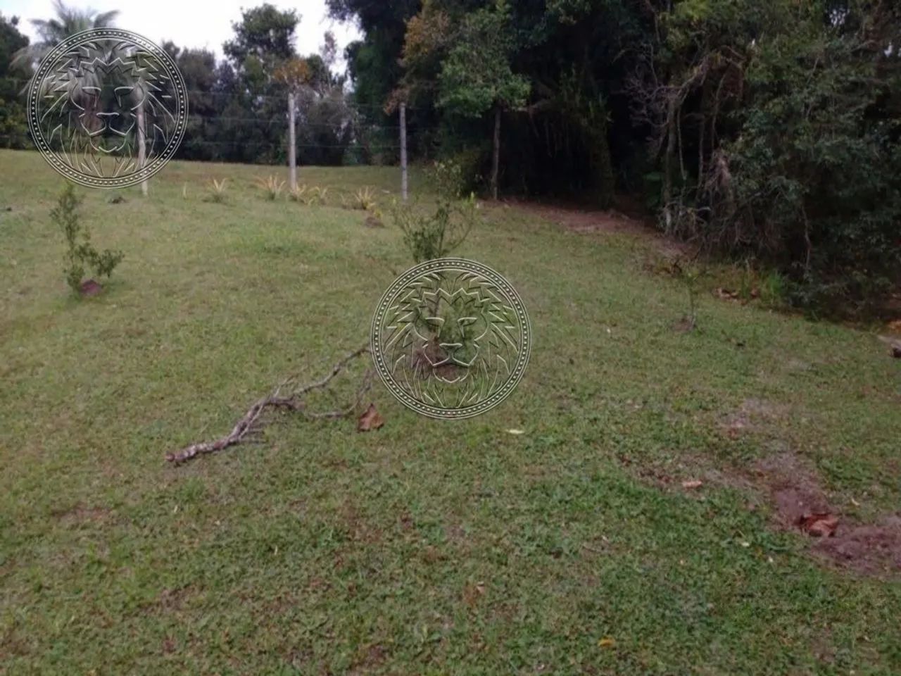 Terreno Pé na Areia no Ribeirão da Ilha em Florianópolis - Foto 4
