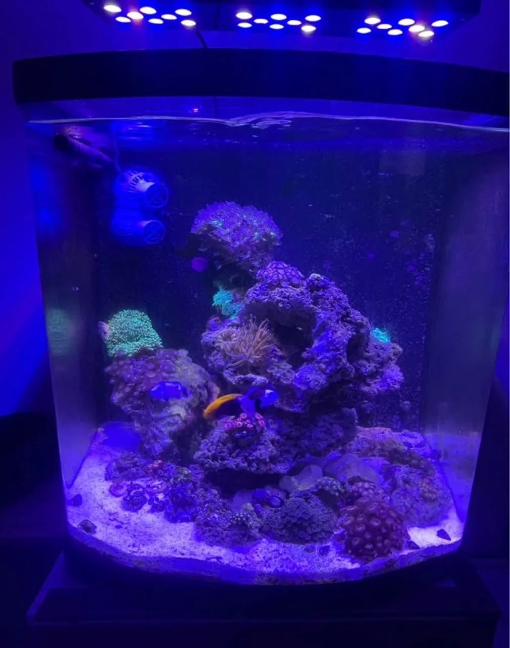 Aquário Boyu 128l - Foto 2