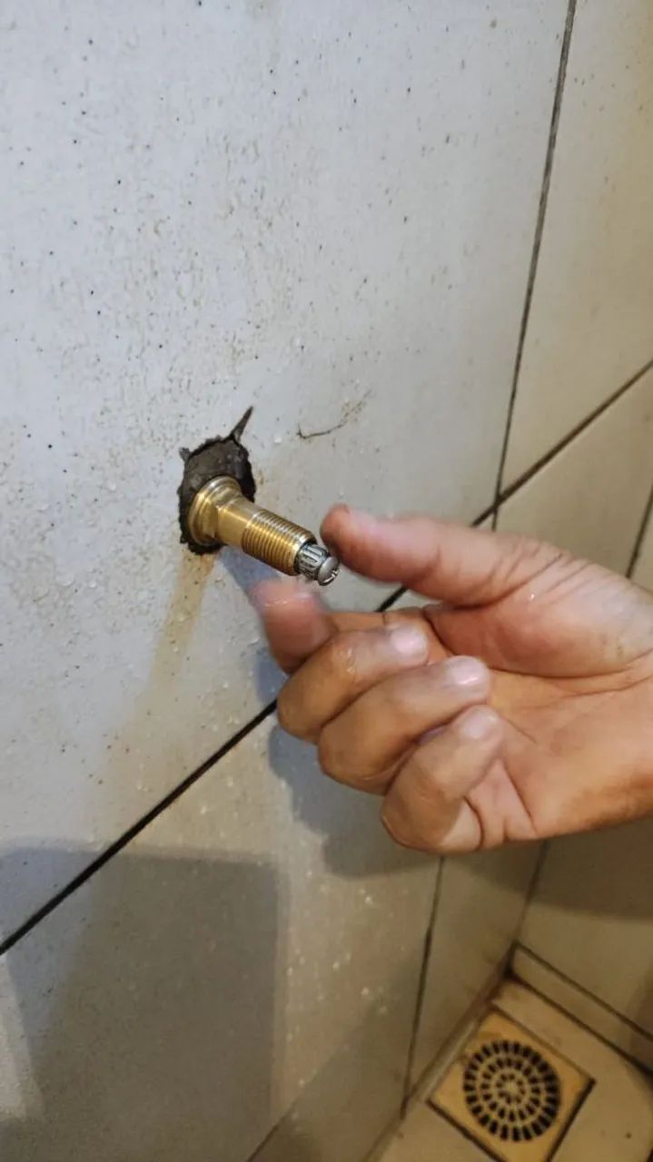 Reparos hidraulicos eletricos
