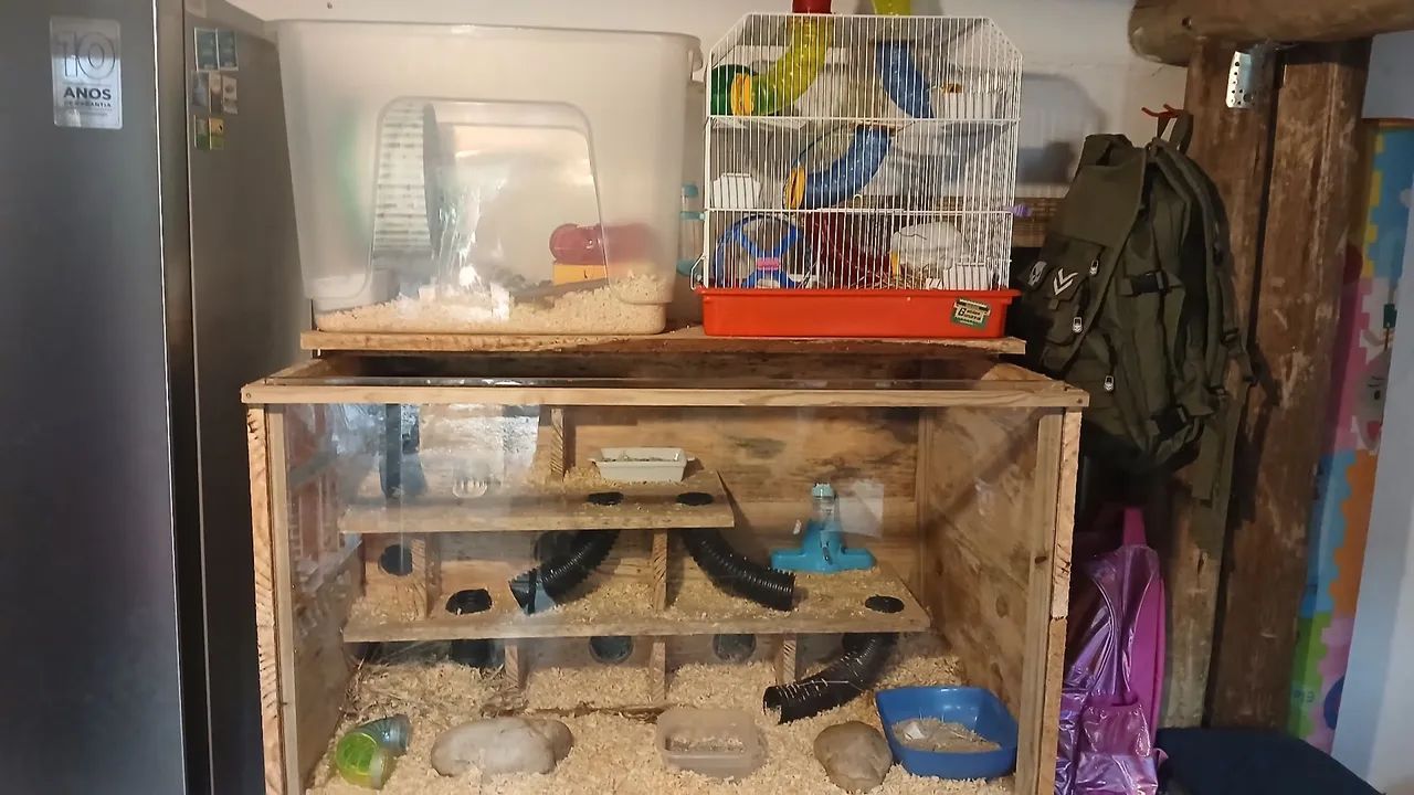 Gaiola Viveiro ternário hamster  - Foto 4