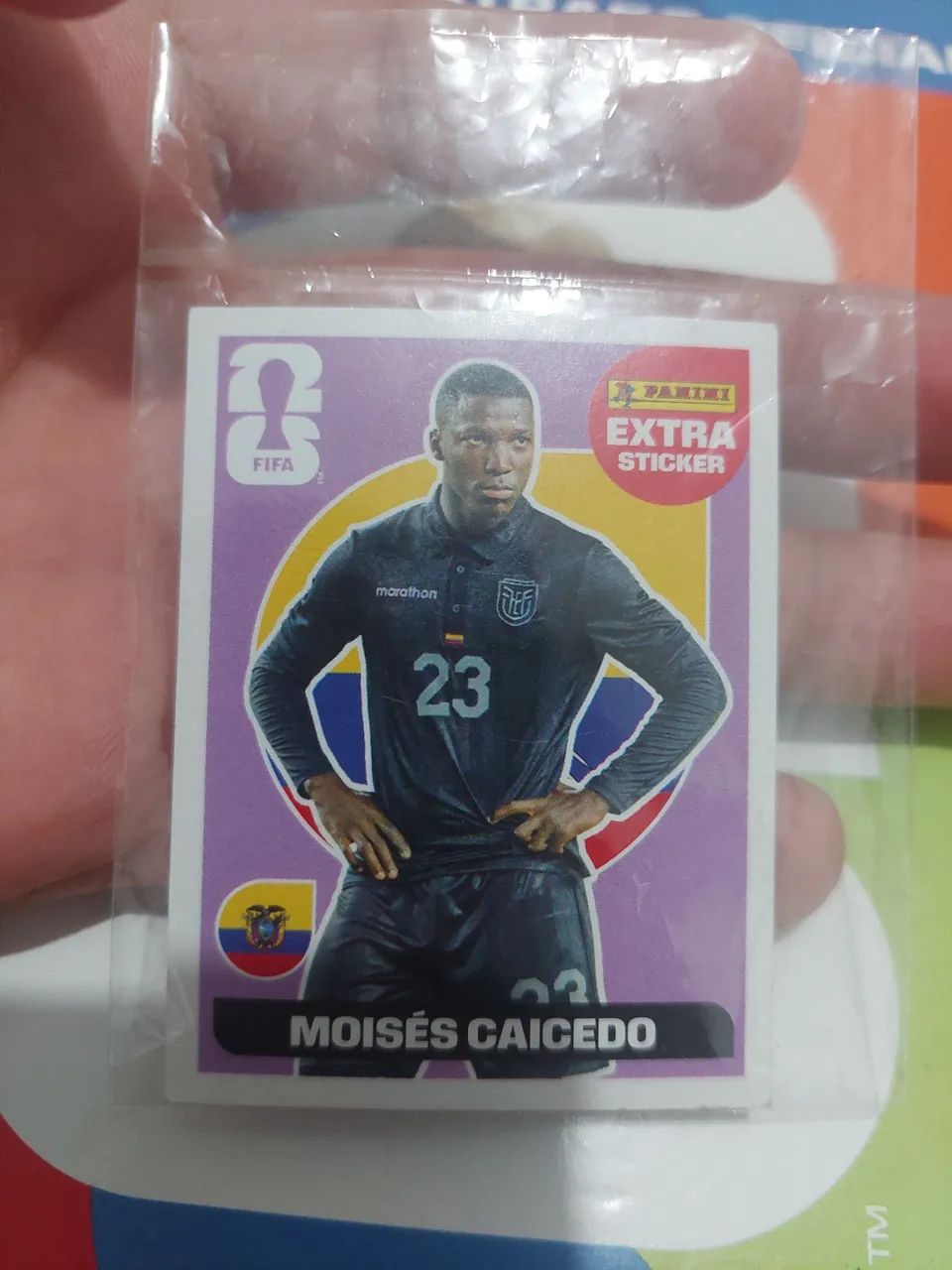 Legend caicedo roxa