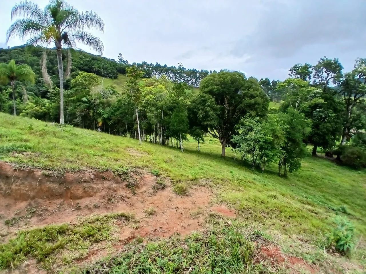 SÍTIO a VENDA CAMBORIÚ  - Foto 4