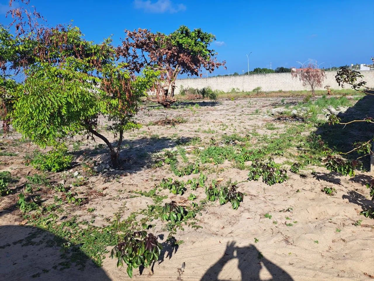 Vendo terreno em Jacumã  - Foto 5