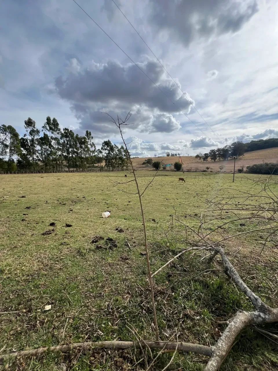 Oportunidade a venda - Foto 2