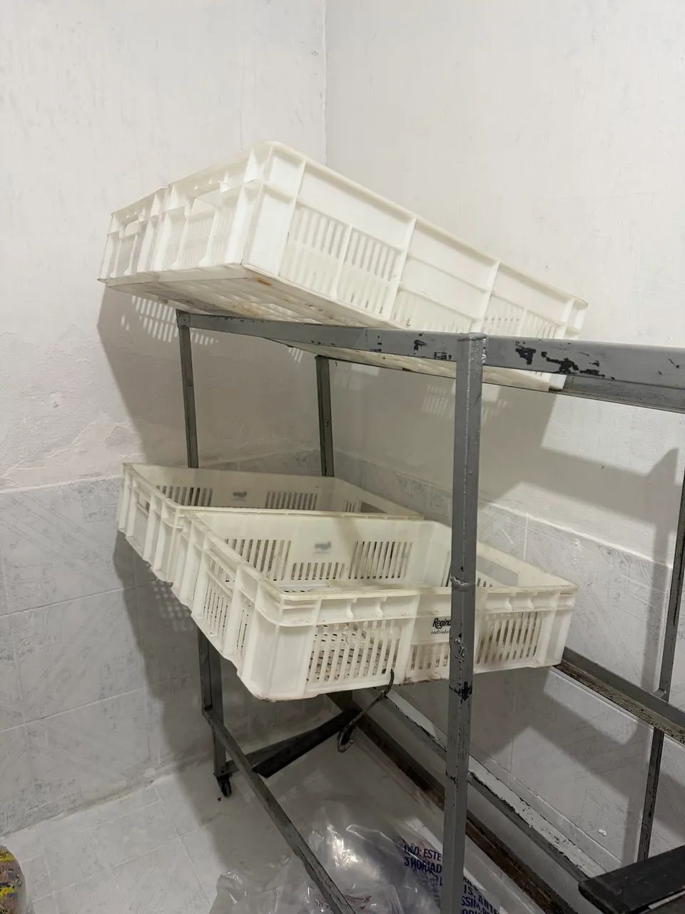 FRUTEIRA DE FERRO 