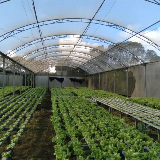Estrutura hidropônica de hortaliças - Foto 3