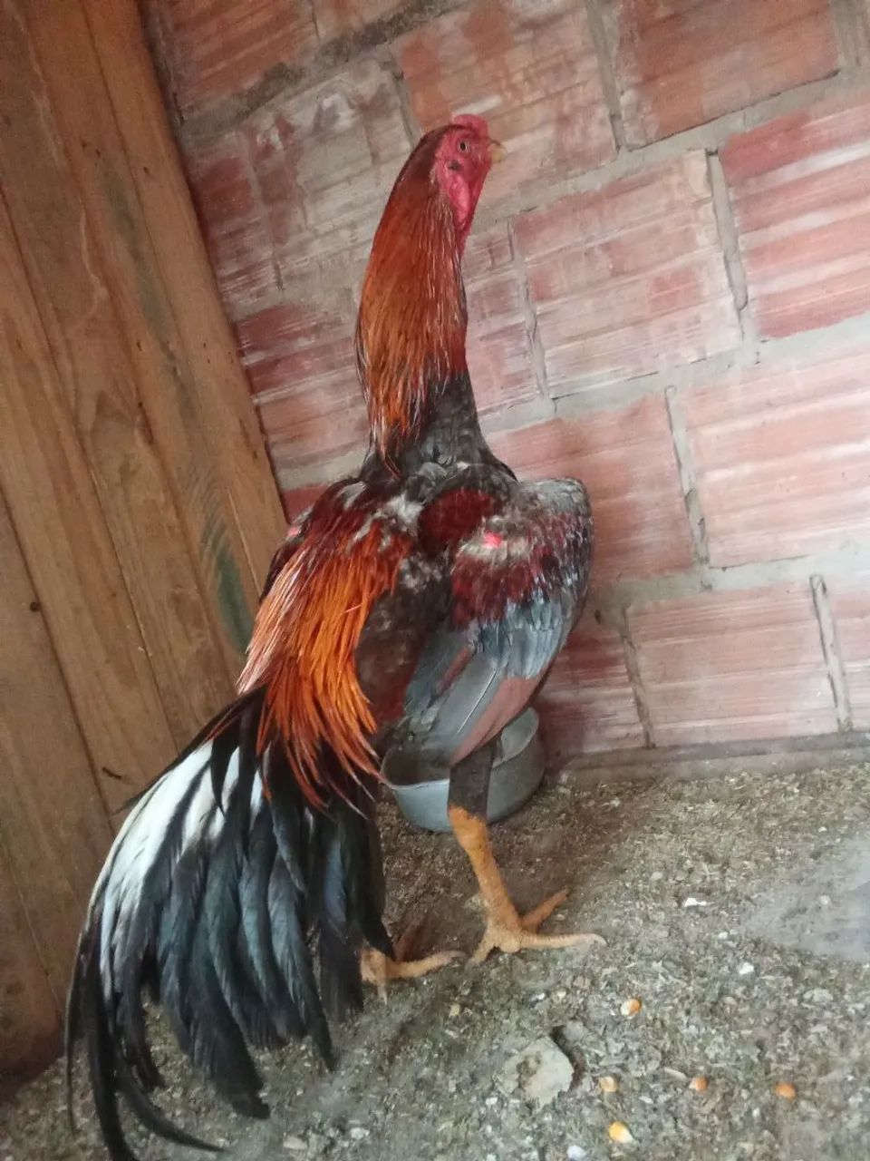 Vendo - Foto 2