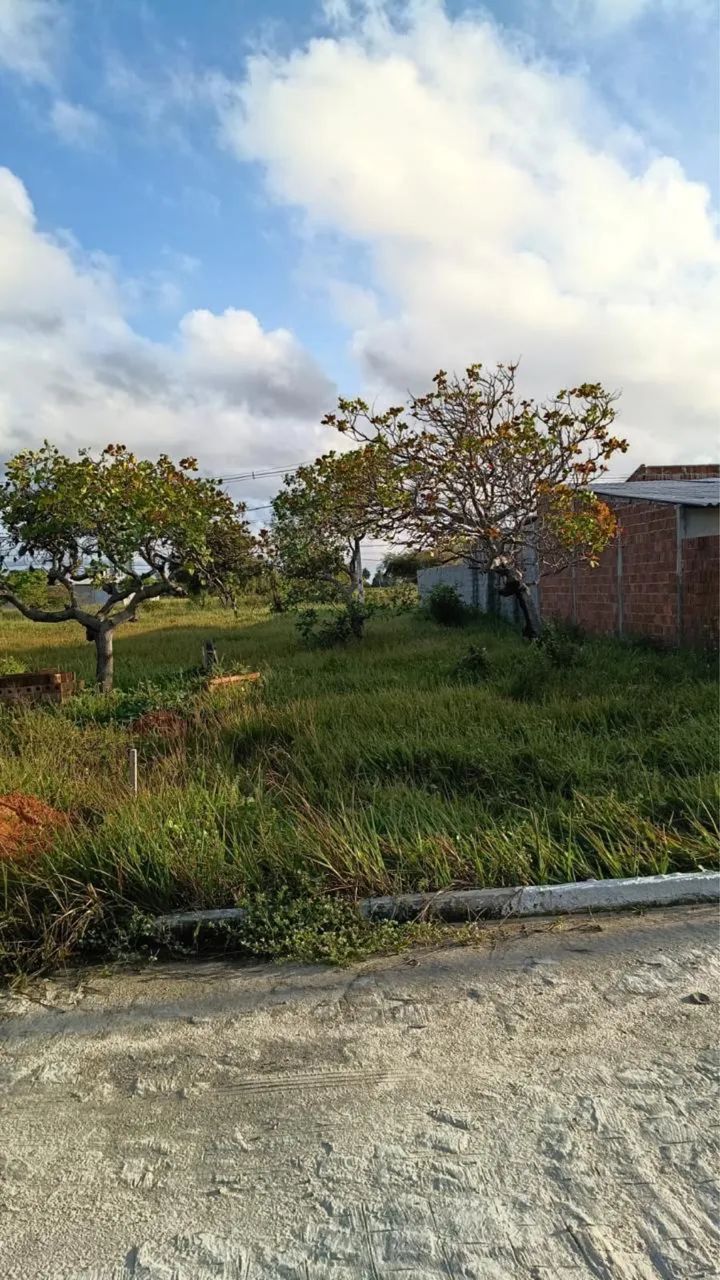Terreno Rivieira Jacumã  - Foto 2