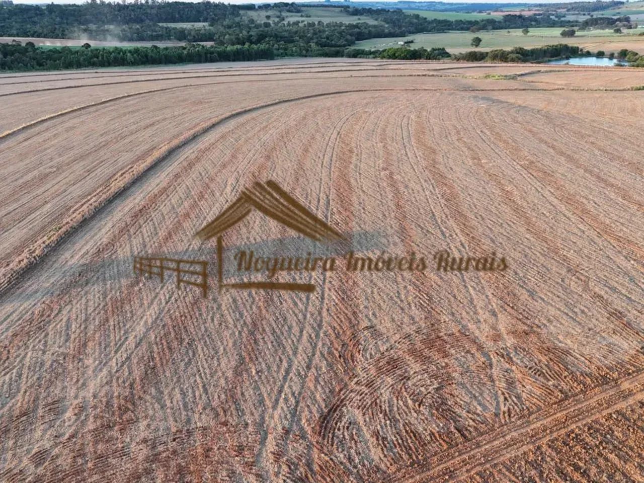 Sítio com 17 alqueires terra vermelha em Quadra/SP - Foto 5