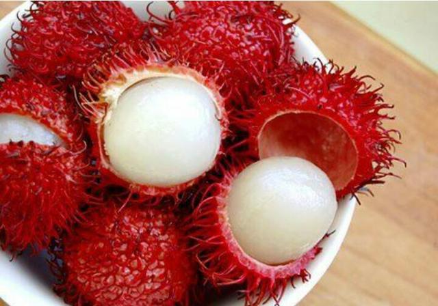 Lixia, rambutan, pinha atemoia thompson todas Enxertadas