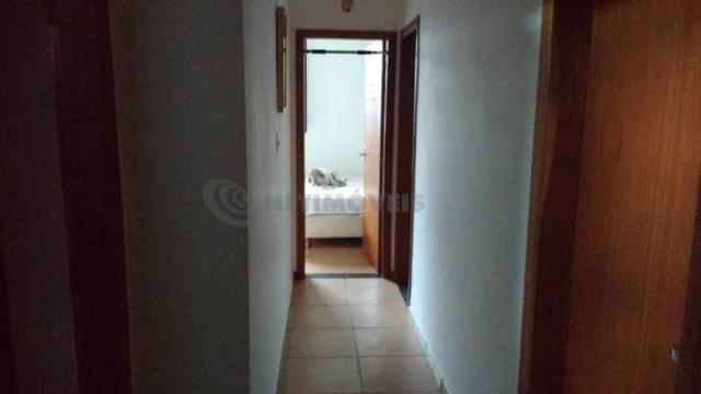 Casa à venda com 3 dormitórios em Serrano, Belo horizonte cod:688884 - Foto 5