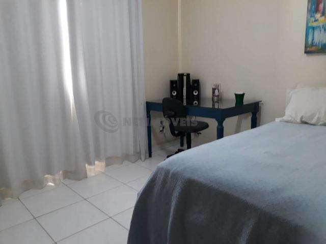 Casa à venda com 3 dormitórios em Alípio de melo, Belo horizonte cod:677359 - Foto 14