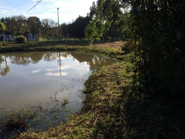 Chácara à venda em Cerne, Campina grande do sul cod:CH00004 - Foto 9