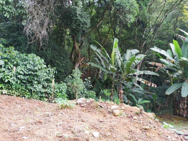 Lote 567m2 no Centro de Santa Isabel Domingos Martins - Foto 8