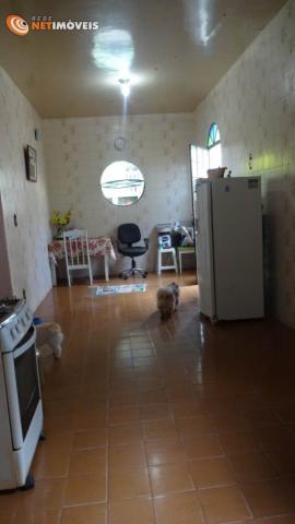 Casa à venda com 2 dormitórios em Glória, Belo horizonte cod:536499 - Foto 11