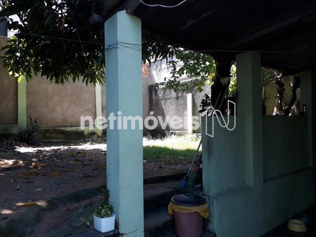 Casa à venda com 3 dormitórios em Alípio de melo, Belo horizonte cod:721345 - Foto 10