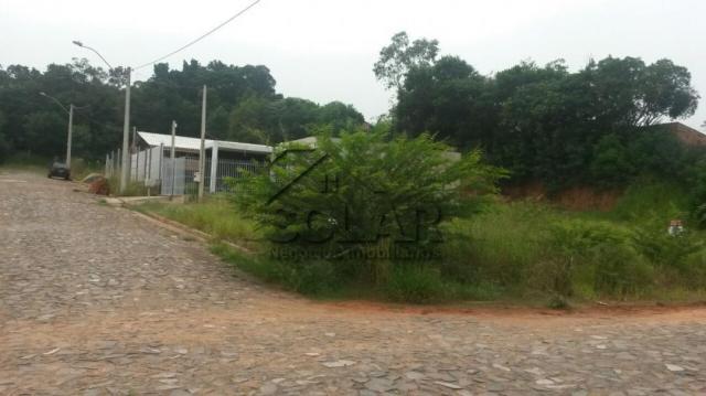 Terreno à venda em Arroio da manteiga, São leopoldo cod:3375 - Foto 2