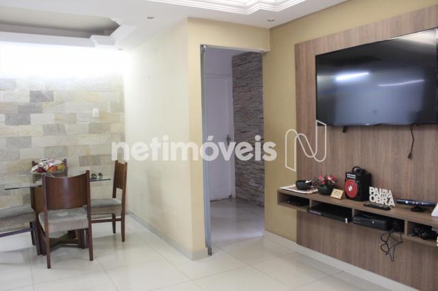 Casa à venda com 3 dormitórios em Alípio de melo, Belo horizonte cod:727028 - Foto 7