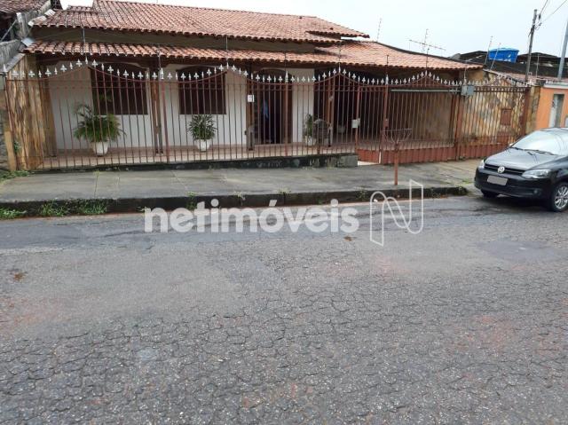 Casa à venda com 5 dormitórios em Glória, Belo horizonte cod:737802 - Foto 11