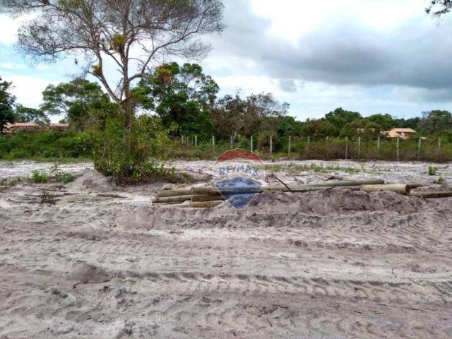 Terreno para alugar, 2.500 m² por R$ 20.000/ano Trancoso - Porto Seguro/BA - Foto 4