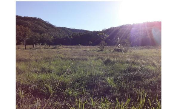 Ocasião,1590 Hectares,1000 hectares Pasto sujo Santo Antônio/MT