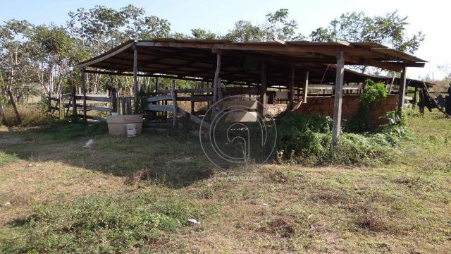 Chácara em área urbana para investimento - Foto 6