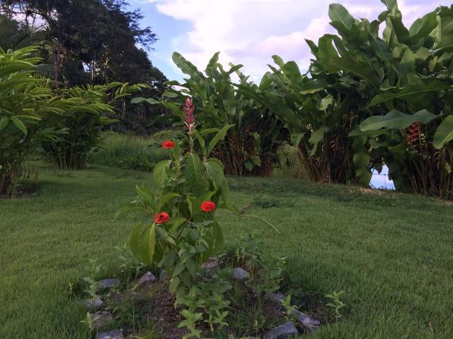 Fazenda - Sul da Bahia - Foto 13