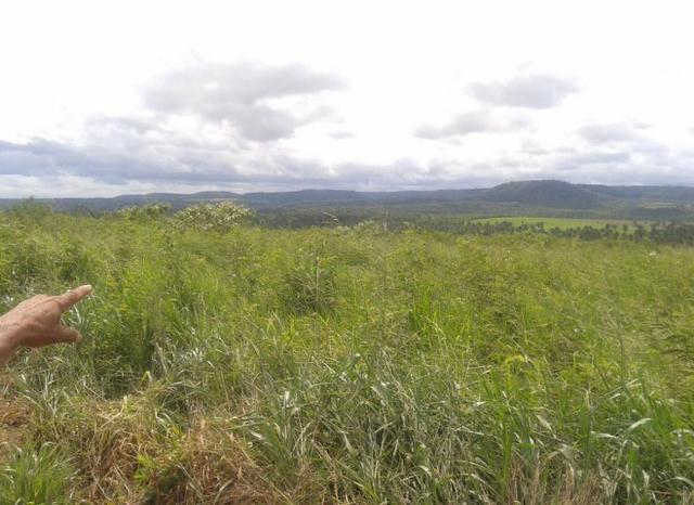 Fazenda Gameleira / 1562 hectares / documentação completa / próximo a Colinas - Foto 11
