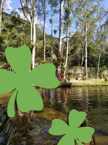 Sítio em Canoas ( pequeno sítio) - Foto 18