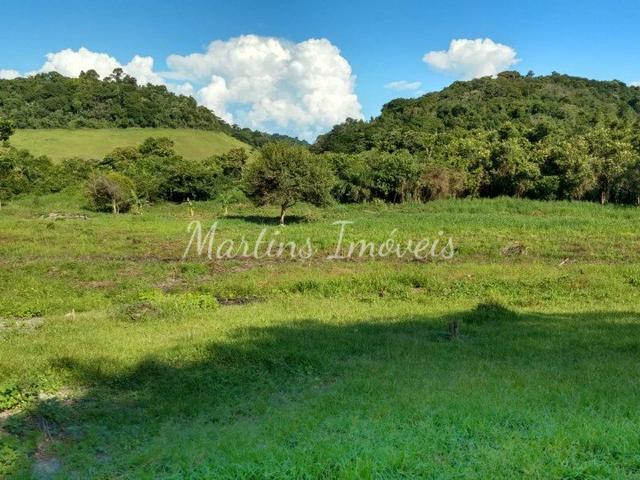 Sítio na região rural de Cachoeiras de Macacu - Foto 12