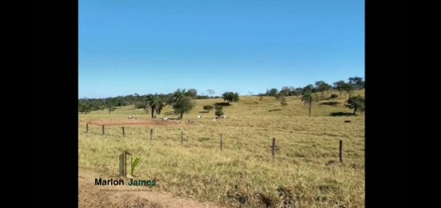 Fazenda em Morrinhos-Go - Foto 4