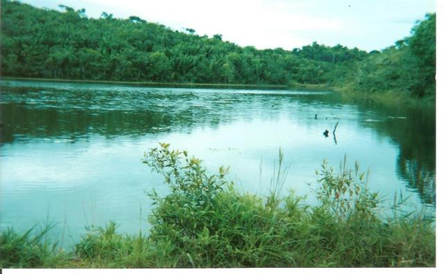Fazenda Com Nascentes, 800 m de rio e Mata Atlântica Preserevada - Foto 6
