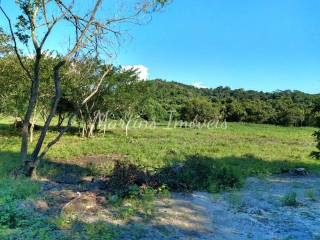 Sítio na região rural de Cachoeiras de Macacu - Foto 16