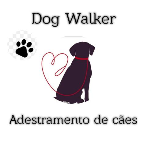 Dog Walker/ Passeador de cães ? - Foto 3