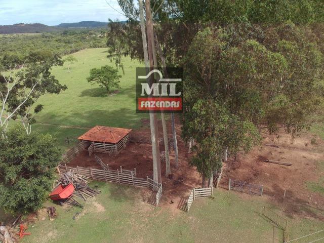 Vende ou troca por terra maior Chácara 5 Alqueires São Miguel do Passa Quatro-GO - Foto 14