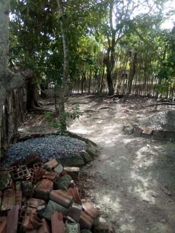 Vendo casa com sítio - Foto 5