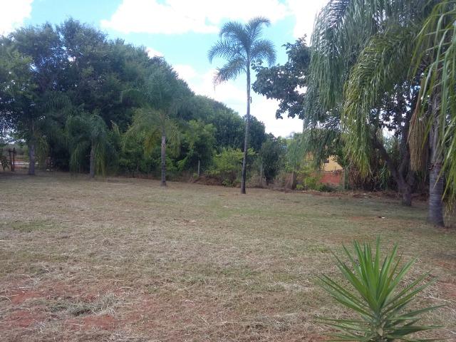 Casa Investimento - 5000m2 - Foto 8
