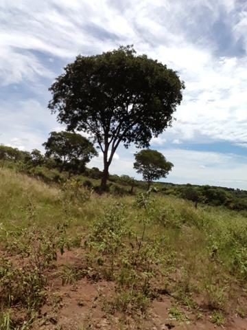 Pequeno sitio próximo de uruana de minas - Foto 2